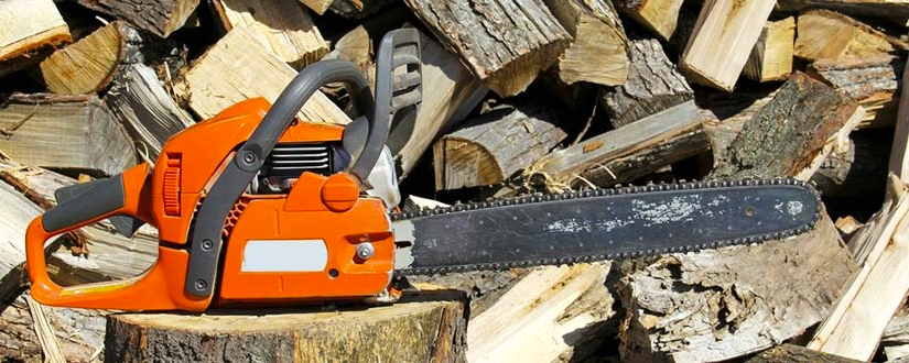 3 Best Chainsaws | 2020 Professional Review