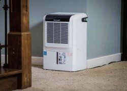 3 Best Basement Dehumidifiers of 2020