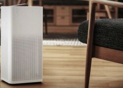 Top 5 Air Purifiers for Mold