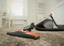 The Best Canister Vacuum Cleaners for 2020 | Tested and Reviewed