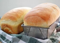 Top 10 Best Bread Machine Reviews — Making the Right Choice in 2020