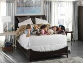 Top 10 Best Queen Bed Size Reviews — A Step by Step Buyer’s Guide to Choosing the Perfect Bed of 2020 jonsguide.org Top 10 Sealy Posturepedic Mattress Reviews — Your Best Choice in 2020