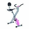 Sunny Health & Fitness Folding Recumbent Bike